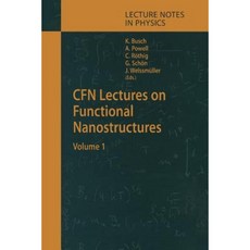 Cfn Lectures on Functional Nanostructures: Volume 1 Paperback, Springer