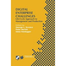 Digital Enterprise Challenges: Life-Cycle Approach to Management and Production Paperback, Springer