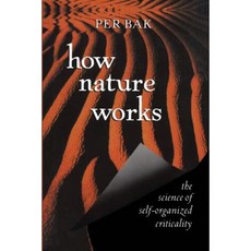 How Nature Works: The Science of Self-Organized Criticality Paperback, Copernicus Books