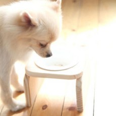 미르네 강아지심플1구식기, 1구심플무도색, 1개