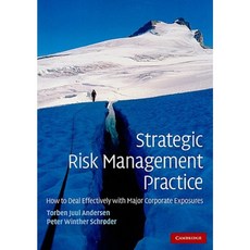Strategic Risk Management Practice: How to Deal Effectively with Major Corporate Exposures Paperback, Cambridge University Press
