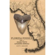 Florida Fossils: Shark Teeth & Marine Animals Paperback, Createspace Independent Publishing Platform