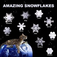 Amazing Snowflakes Paperback, Createspace Independent Publishing Platform
