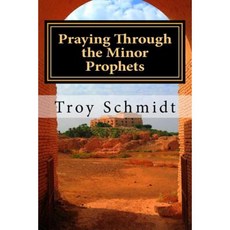 Praying Through the Minor Prophets Paperback, Createspace Independent Publishing Platform