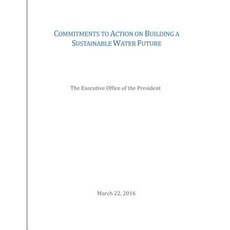 Commitments to Action on Building a Sustainable Water Future Paperback, Createspace Independent Publishing Platform