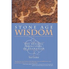 Stone Age Wisdom: The Healing Principles of Shamanism Paperback, Createspace Independent Publishing Platform