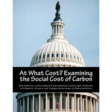 At What Cost? Examining the Social Cost of Carbon Paperback, Createspace Independent Publishing Platform