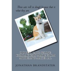 Dough Cats: Feline Characters Made from Modeling Material Paperback, Createspace Independent Publishing Platform
