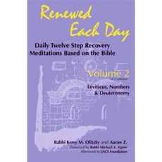 Renewed Each Day--Leviticus Numbers & Deuteronomy: Daily Twelve Step Recovery Meditations Based on the Bible Hardcover, Jewish Lights Publishing