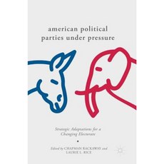 American Political Parties Under Pressure: Strategic Adaptations for a Changing Electorate Hardcover, Palgrave MacMillan