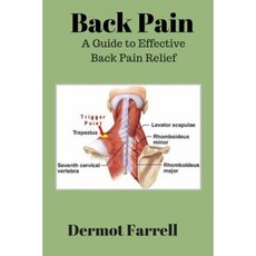 Back Pain: A Guide to Effective Back Pain Relief Paperback, Createspace Independent Publishing Platform