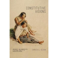 Constitutive Visions: Indigeneity and Commonplaces of National Identity in Republican Ecuador Paperback, Penn State University Press