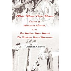What Mean These Stones?: Lessons of Hurricane Katrina 9/11 the Million Man March the Millions More Movement Paperback, iUniverse
