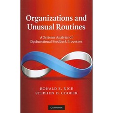 Organizations and Unusual Routines: A Systems Analysis of Dysfunctional Feedback Processes Hardcover, Cambridge University Press