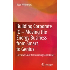 Building Corporate IQ - Moving the Energy Business from Smart to Genius: Executive Guide to Preventing Costly Crises Hardcover, Springer