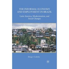 The Informal Economy and Employment in Brazil: Latin America Modernization and Social Changes Paperback, Palgrave MacMillan