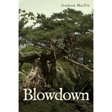 Blowdown Paperback, Createspace Independent Publishing Platform