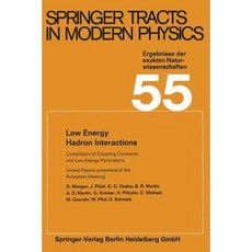 Low Energy Hadron Interactions: Invited Papers Presented at the Ruhestein-Meeting May 1970 Paperback, Springer