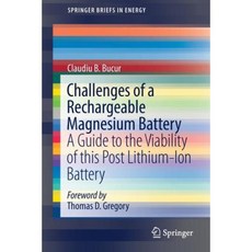 Challenges of a Rechargeable Magnesium Battery: A Guide to the Viability of This Post Lithium-Ion Battery Paperback, Springer