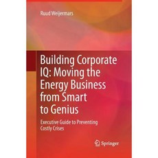 Building Corporate IQ - Moving the Energy Business from Smart to Genius: Executive Guide to Preventing Costly Crises Paperback, Springer