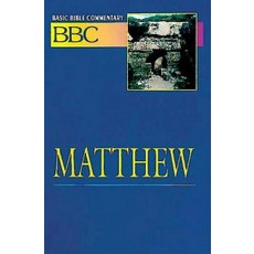 Basic Bible Commentary Matthew Paperback, Abingdon Press
