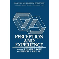 Perception and Experience Paperback, Springer