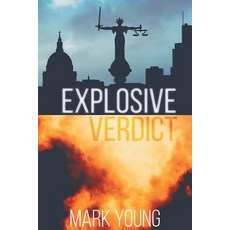 Explosive Verdict Paperback, Funky Ink Press