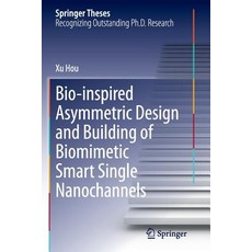 Bio-Inspired Asymmetric Design and Building of Biomimetic Smart Single Nanochannels Paperback, Springer