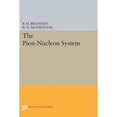 The Pion-Nucleon System Paperback, Princeton University Press
