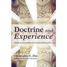 Doctrine and Experience Hardcover, Wipf & Stock Publishers