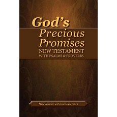 God's Precious Promises New Testament-NASB-With Psalms and Proverbs Imitation Leather, AMG Publishers