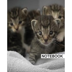 Notebook: 8" X 10 " for Writing Journaling & Notes 100 Pages Cats (122) [Classic Notebook] Paperback, Createspace Independent Publishing Platform