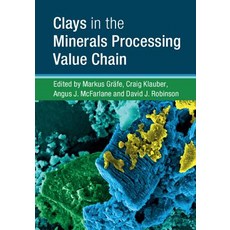 Clays in the Minerals Processing Value Chain Hardcover, Cambridge University Press