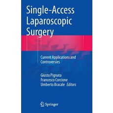 Single-Access Laparoscopic Surgery: Current Applications and Controversies Hardcover, Springer