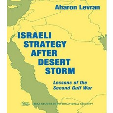Israeli Strategy After Desert Storm: Lessons of the Second Gulf War Paperback, Taylor & Francis