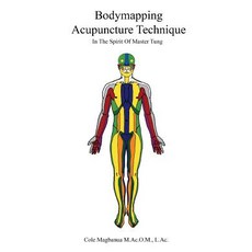 Bodymapping Acupuncture Technique, Alc Pub