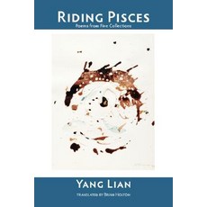 Riding Pisces Paperback, Shearsman Books
