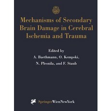 Mechanisms of Secondary Brain Damage in Cerebral Ischemia and Trauma Paperback, Springer