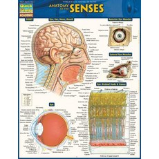 Anatomy of the Senses: Quickstudy Laminated Reference Guide Loose Leaf, Quickstudy Reference Guides