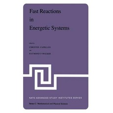 Fast Reactions in Energetic Systems: Proceedings of the NATO Advanced Study Institute Held at Preveza Greece July 6 - 19 1980 Paperback, Springer