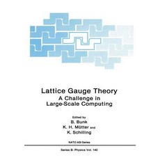 Lattice Gauge Theory: A Challenge in Large-Scale Computing Paperback, Springer
