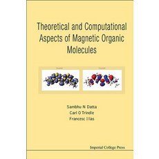Theoretical and Computational Aspects of Magnetic Organic Molecules Hardcover, Imperial College Press