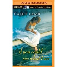 If You Could See What I See MP3 CD, Brilliance Audio