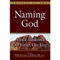 Naming God: Avinu Malkeinu--Our Father Our King Hardcover, Jewish Lights Publishing