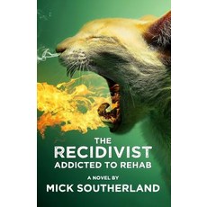The Recidivist: Addicted to Rehab: A Shocking Novel about Alcoholism Rehab and Redemption. Paperback, Createspace Independent Publishing Platform