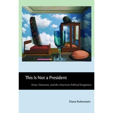 This Is Not a President: Sense Nonsense and the American Political Imaginary Hardcover, New York University Press