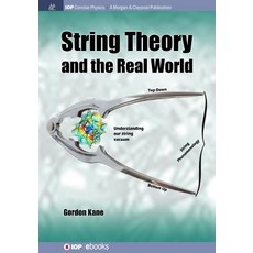 String Theory and the Real World Paperback, Iop Concise Physics
