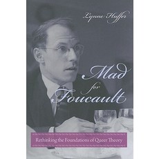 Mad for Foucault: Rethinking the Foundations of Queer Theory Paperback, Columbia University Press