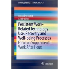 Persistent Work-Related Technology Use Recovery and Well-Being Processes: Focus on Supplemental Work After Hours Paperback, Springer