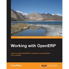 Working with Openerp Paperback, Packt Publishing